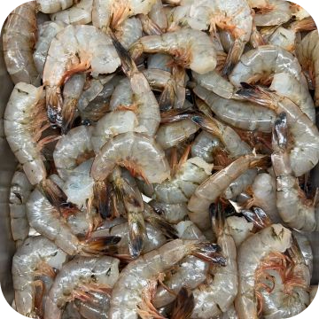 Atlantic Jumbo Shrimp 16-20 count (5 lbs.)